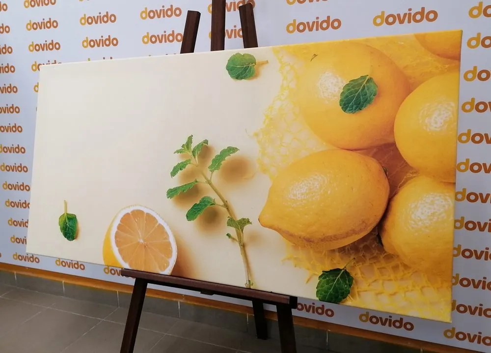 Stampa su tela – Limoni con menta