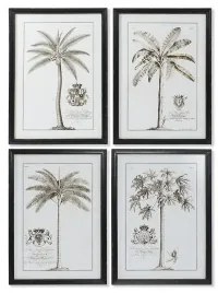 Quadro DKD Home Decor Palme Coloniale 50 x 2,5 x 70 cm (4 Unità)