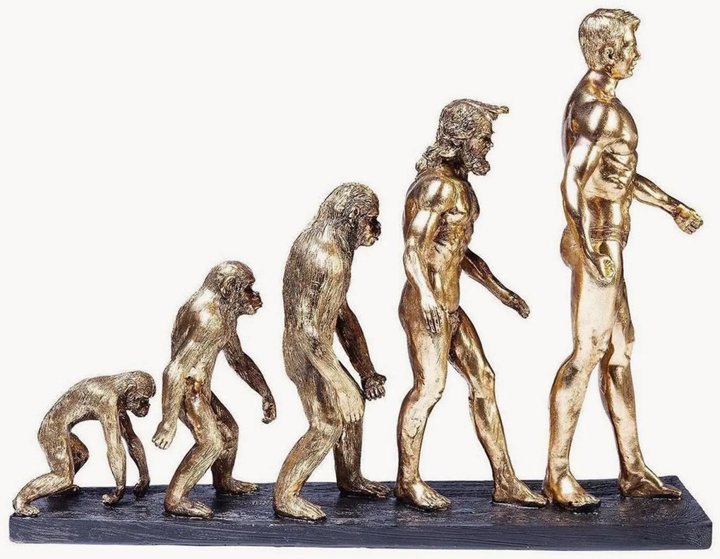 Oggetto decorativo Evolution