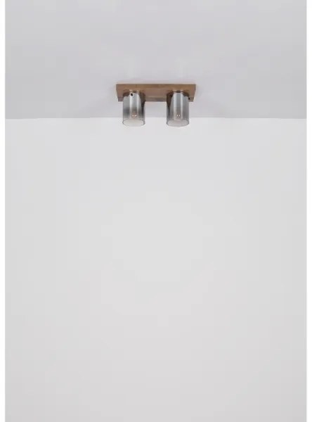 Globo 15915-2 - Plafoniera UNDERWOOD 2xE27/40W/230V