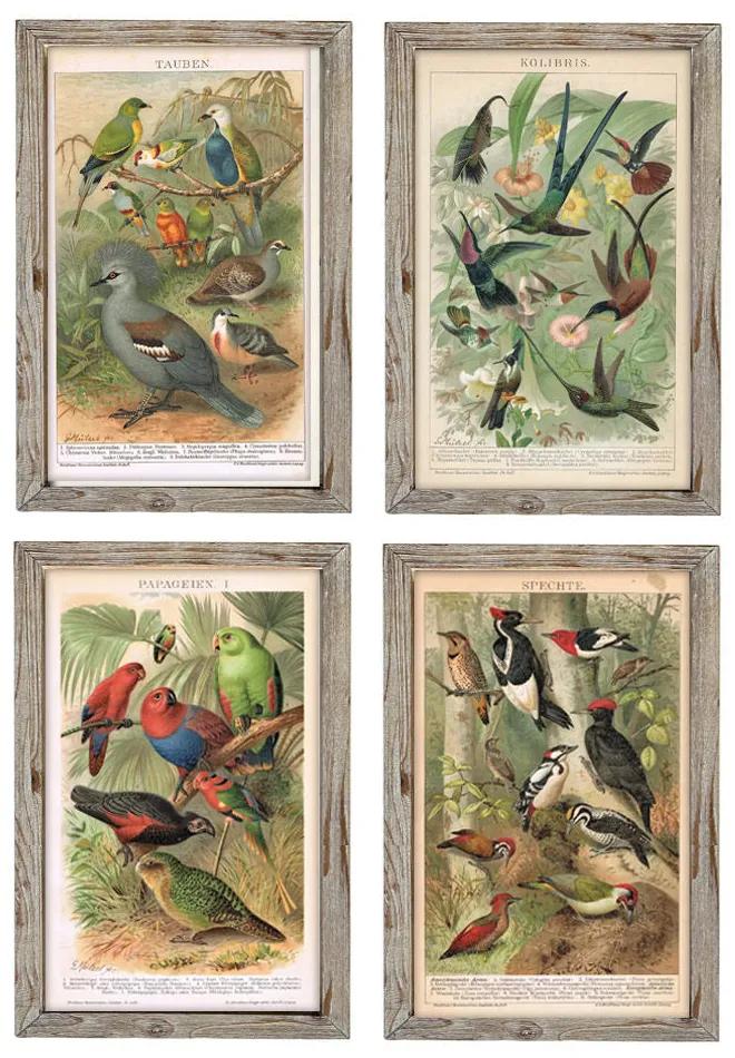 Quadro DKD Home Decor Uccelli (45 x 2 x 65 cm) (4 pezzi)