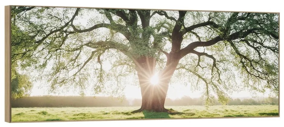 Quadro 150x60 cm Tree in the Sun