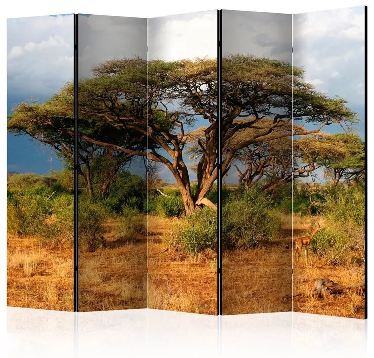 Paravento  Samburu National Reserve, Kenya II [Room Dividers]  Colore ---, Dimensioni e Misure 225x172