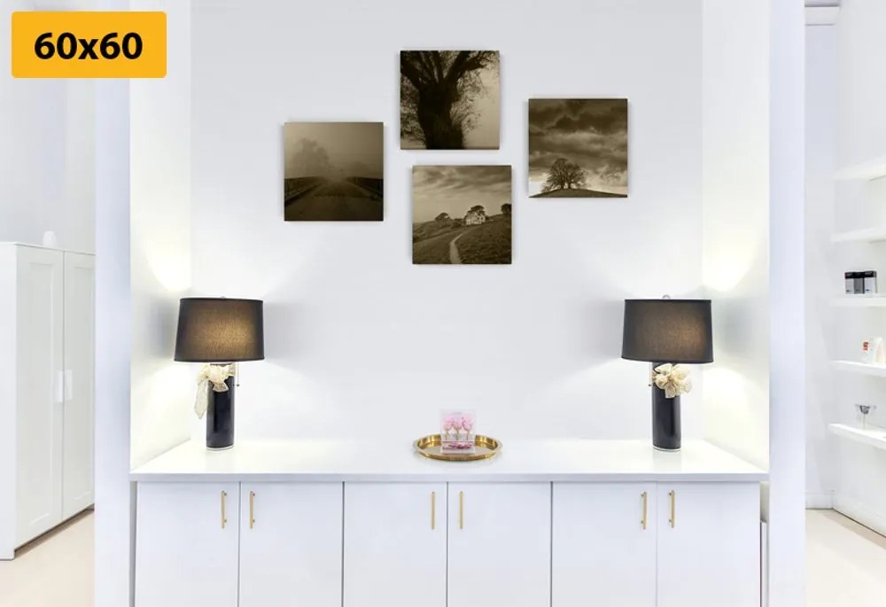 Set di quadri – Natura misteriosa in versione seppia