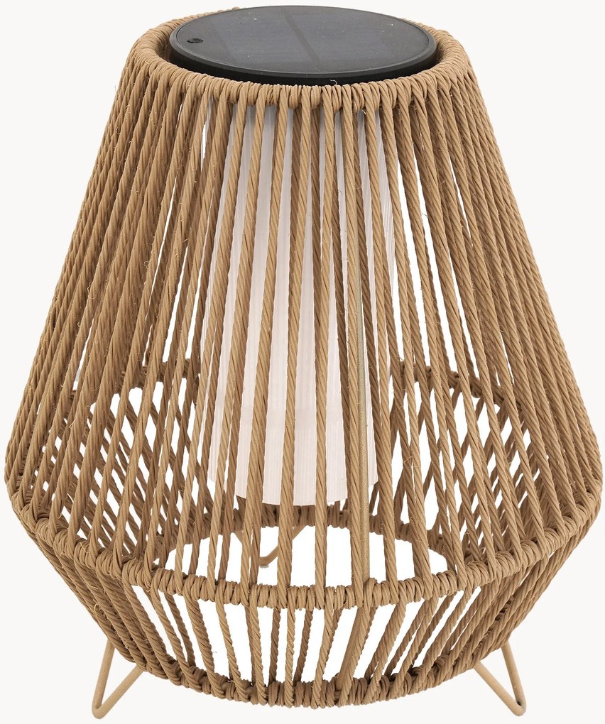 Lampada da terra solare a LED con luce regolabile Salomea