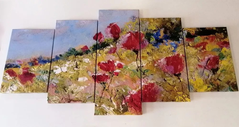 Quadri 5 pezzi – Papaveri dipinti sul prato