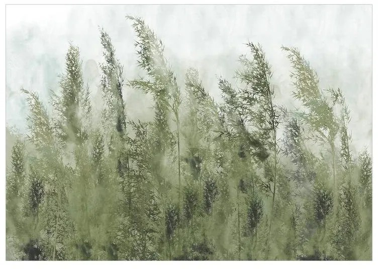 Fotomurale adesivo  Tall Grasses  Green  Larghezza x Altezza Home decor 147x105