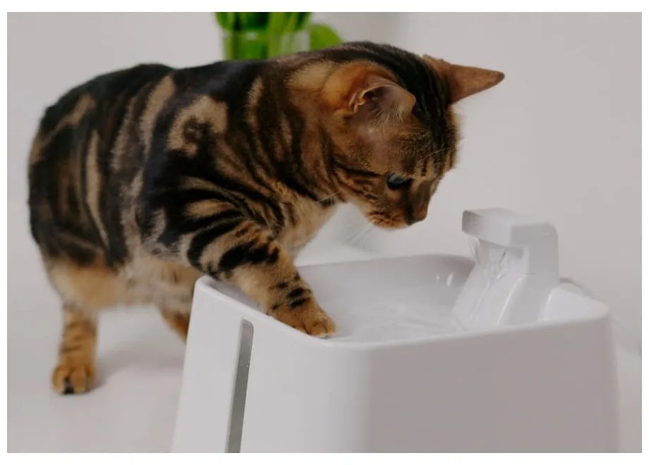 Fontana per animali domestici Epic Pet Zen - Plaček Pet Products