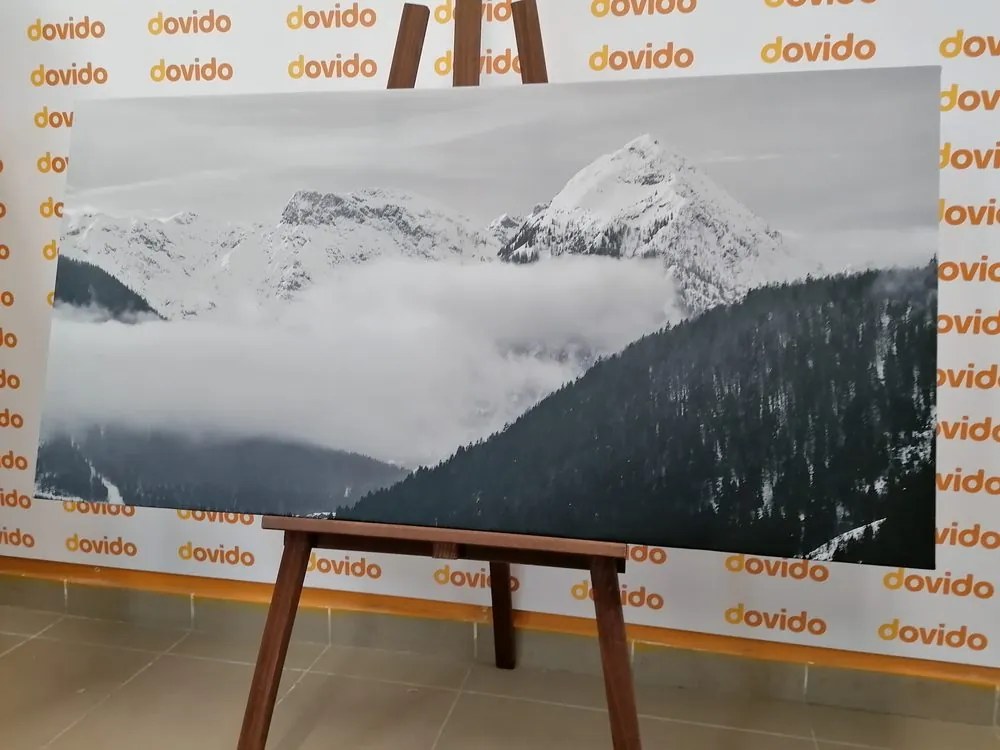 Stampa su tela – Paesaggio invernale in bianco e nero