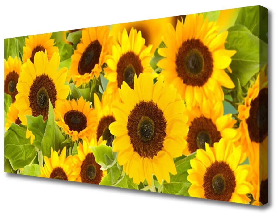 Quadro su tela Pianta i girasoli 100x50 cm