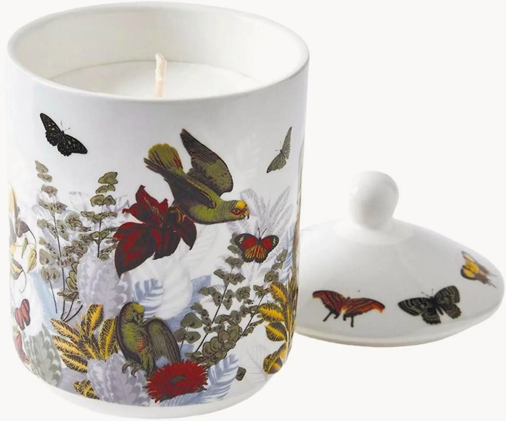 Candela profumata Jardin D'Hiver (Fico)