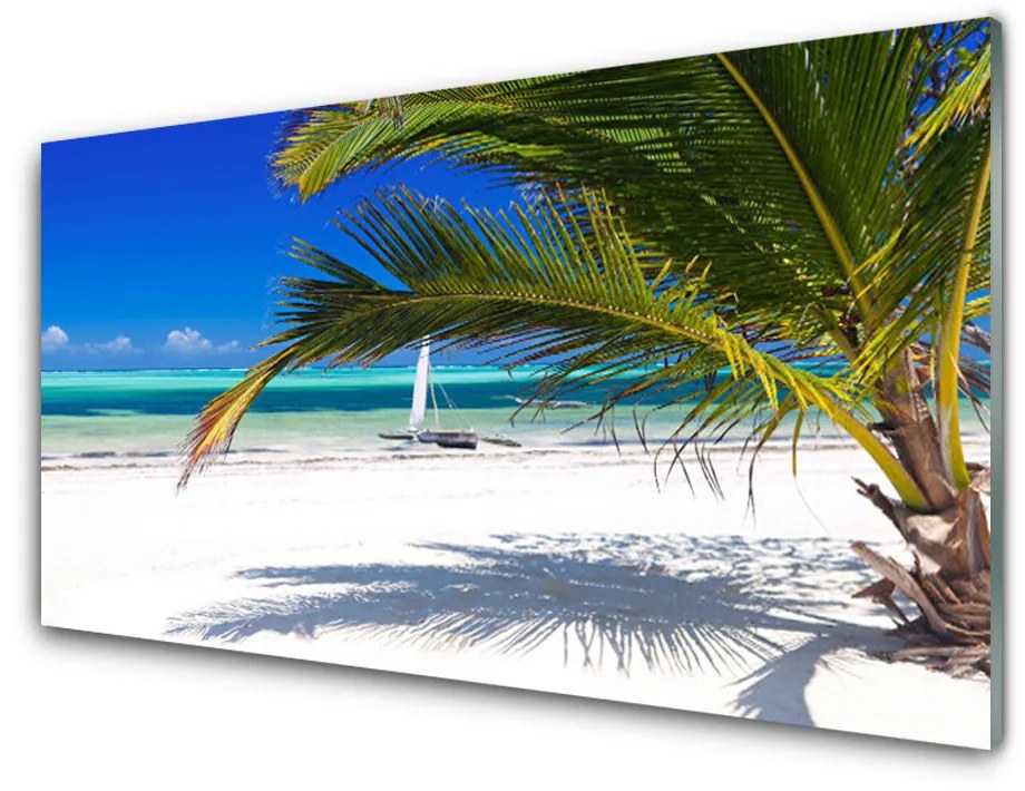 Quadro in vetro Spiaggia Palma Paesaggio 100x50 cm 2 appendini