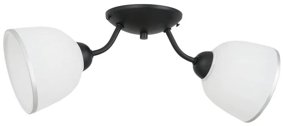 Plafoniera AVIA 2xE27/60W/230V