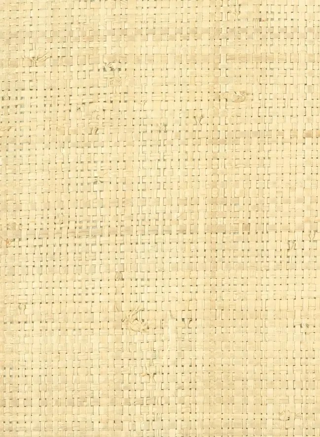 CMO Paris Carta da parati Raphia Pur - Naturel