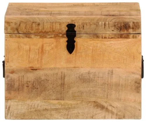Contenitore Portaoggetti 39x28x31cm in Legno Massello di Mango