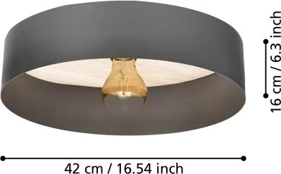 Eglo 901745 - Plafoniera DUAIA 1xE27/40W/230V grigio