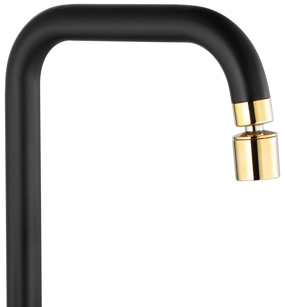 Rubinetto da cucina Rea Polo Black Gold