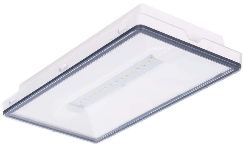 Lampada Emergenza 12W LED 732lm IP65 AutoTest funzione SE / SA Bianca