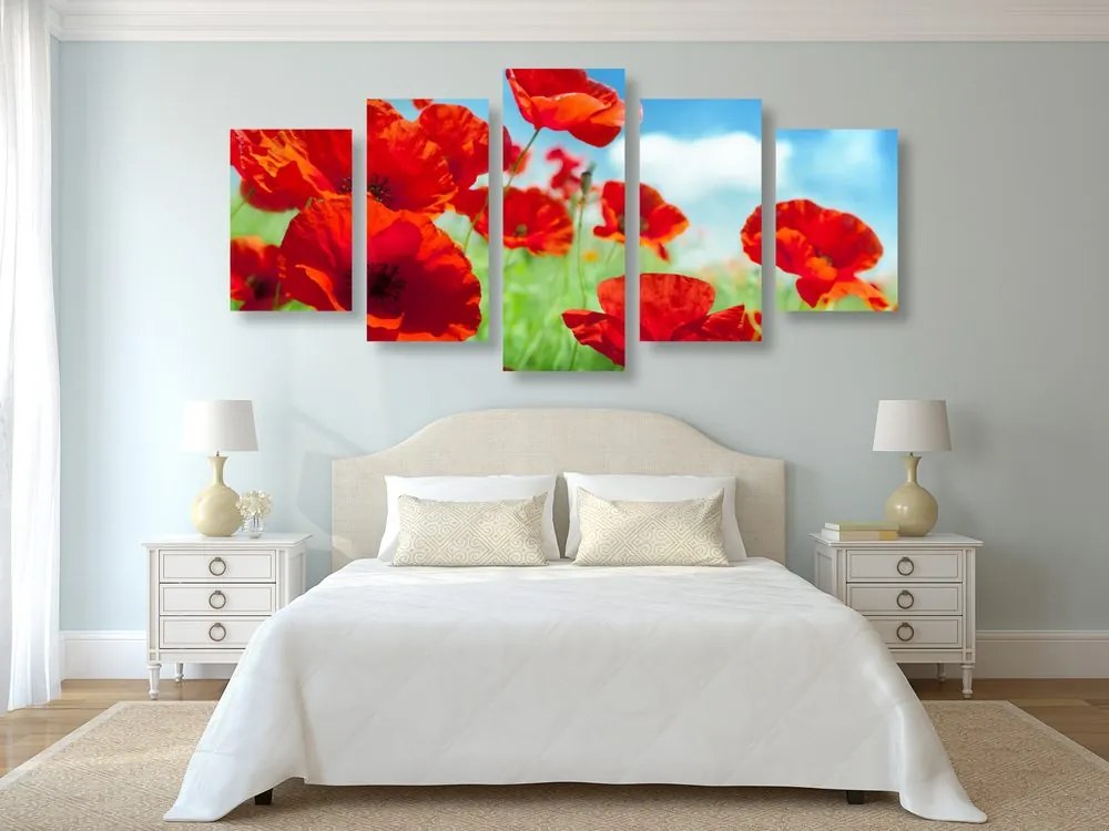Quadri 5 pezzi – Fiori di papavero nel prato