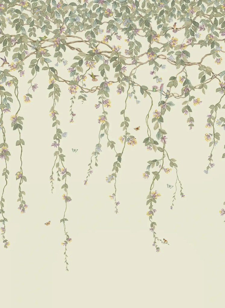 Cole & Son Carta da parati Hummingbirds Flora - Multi/ Old Olive on Eau Du Nil