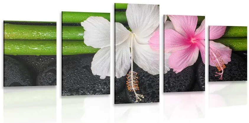 Quadri 5 pezzi – Natura morta benessere
