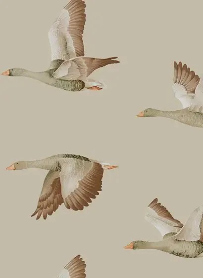 Sanderson Carta da parati Elysian Geese - Briarwood