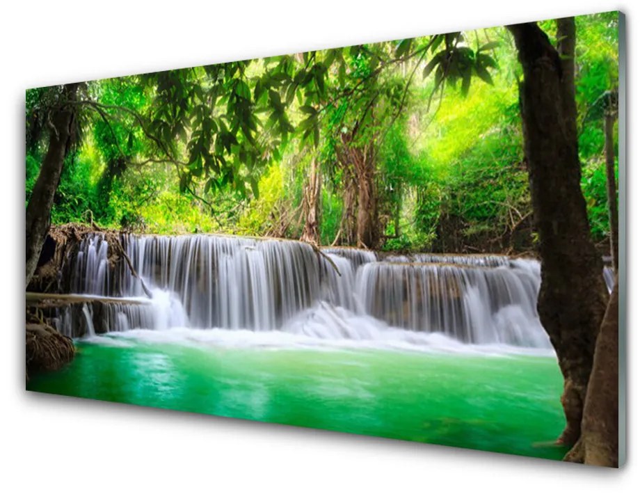 Quadro su vetro Cascata Lago Foresta Natura 100x50 cm