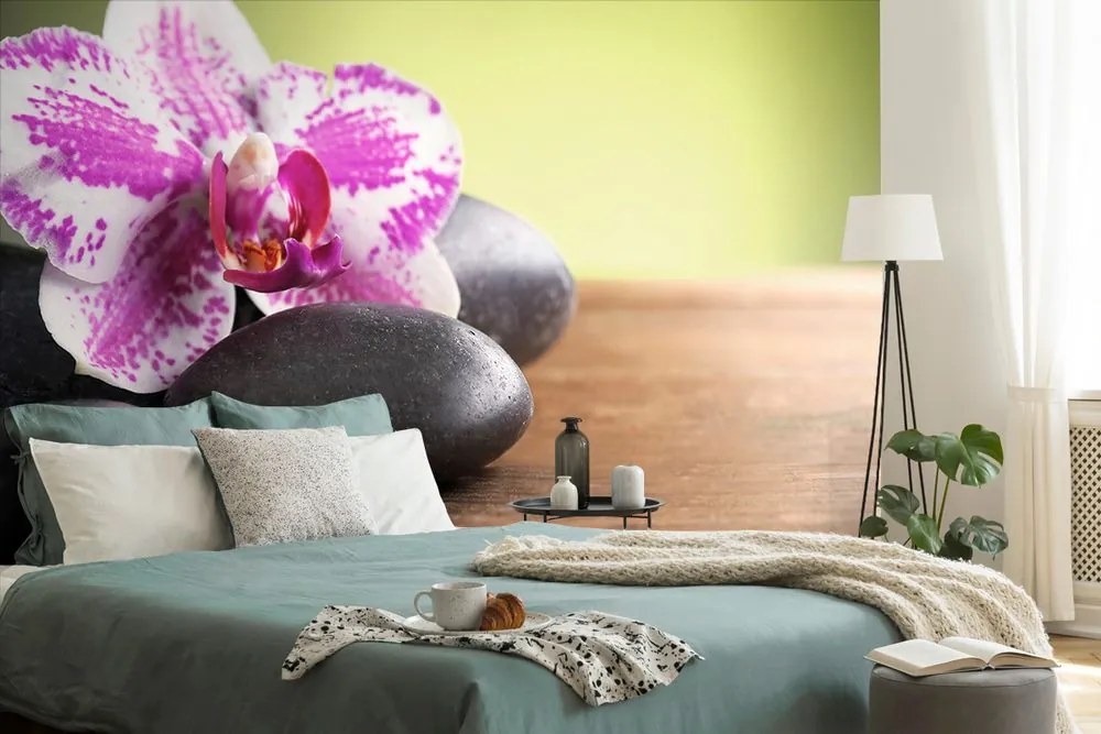 Fotomurale – Orchidea e pietre nere
