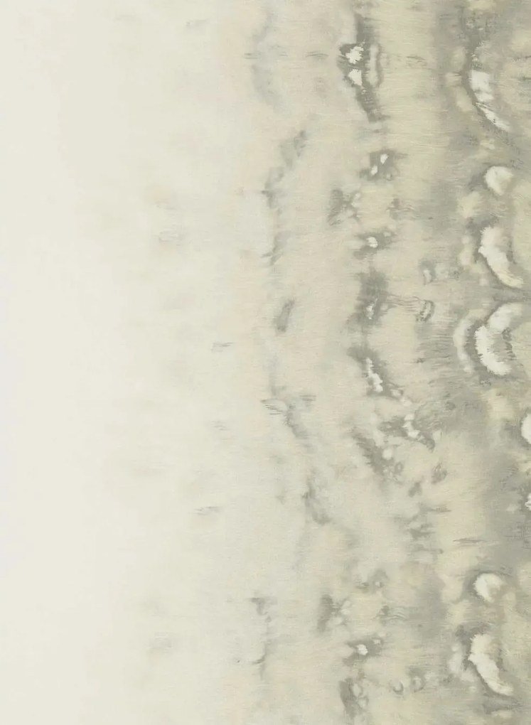 Clarke & Clarke Carta da parati Disperse - Pearl