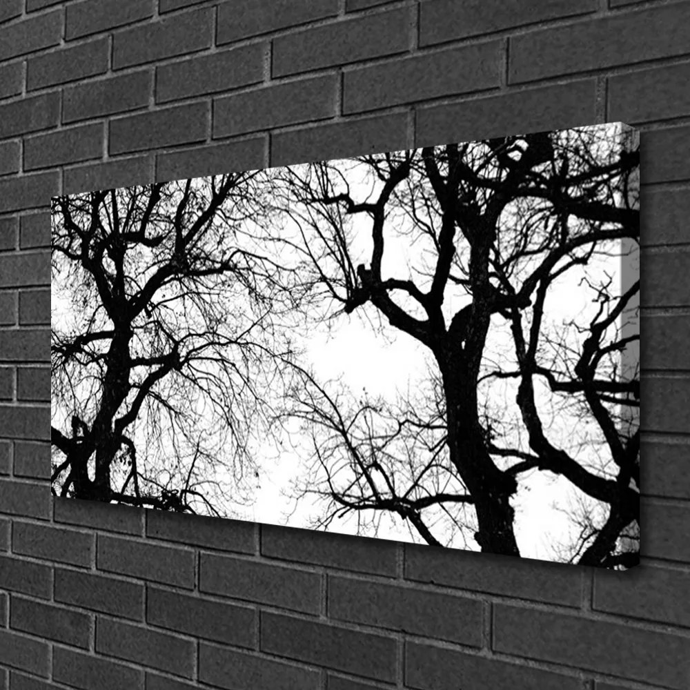 Quadro su tela Alberi della natura in bianco e nero 100x50 cm