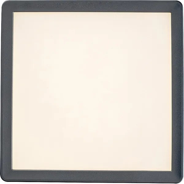 Rabalux 3359 - Plafoniera LED da bagno LAMBERT LED/15W/230V IP44