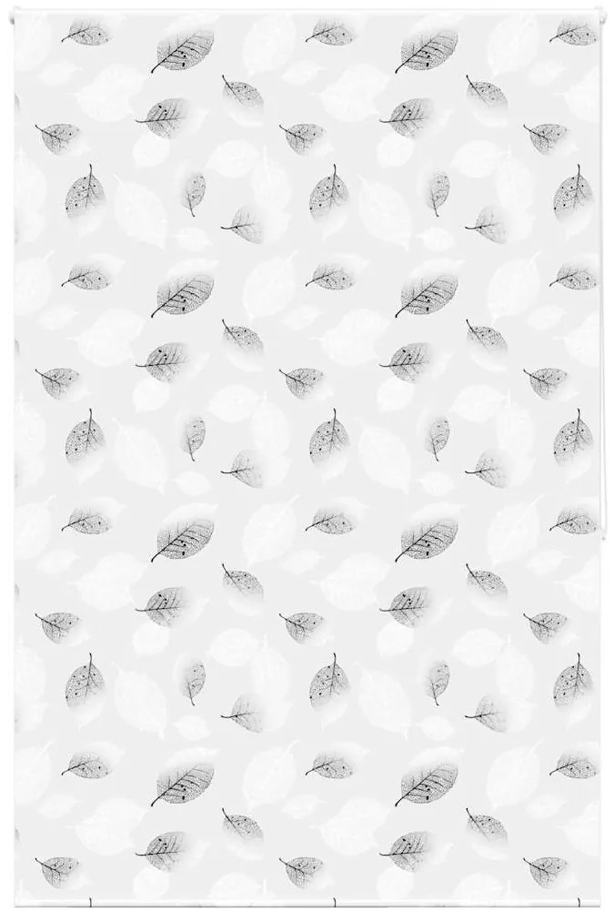 Tenda A Rullo Doccia 150x240 Cm Larghezza Tessuto 146 Cm /