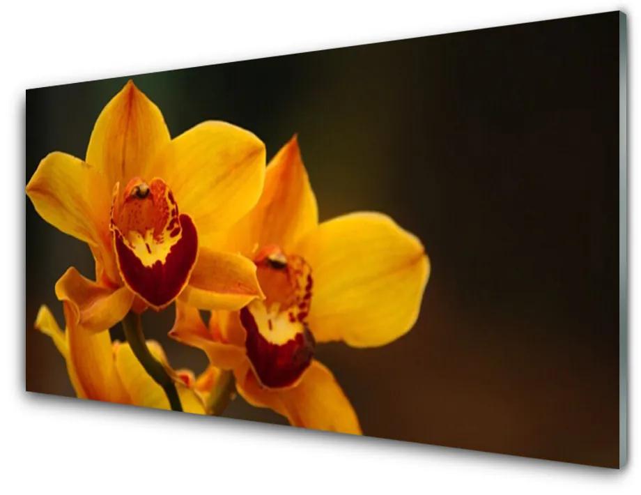 Quadro acrilico I fiori della pianta 100x50 cm