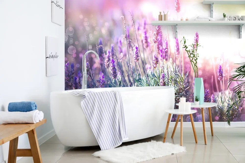 Carta da parati autoadesiva – Fiori magici di lavanda