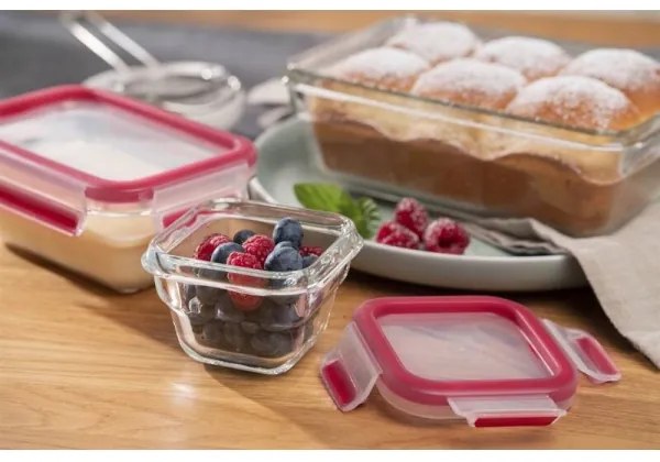 Tefal - Contenitore per alimenti 0,45 l MSEAL GLASS rosso/vetro