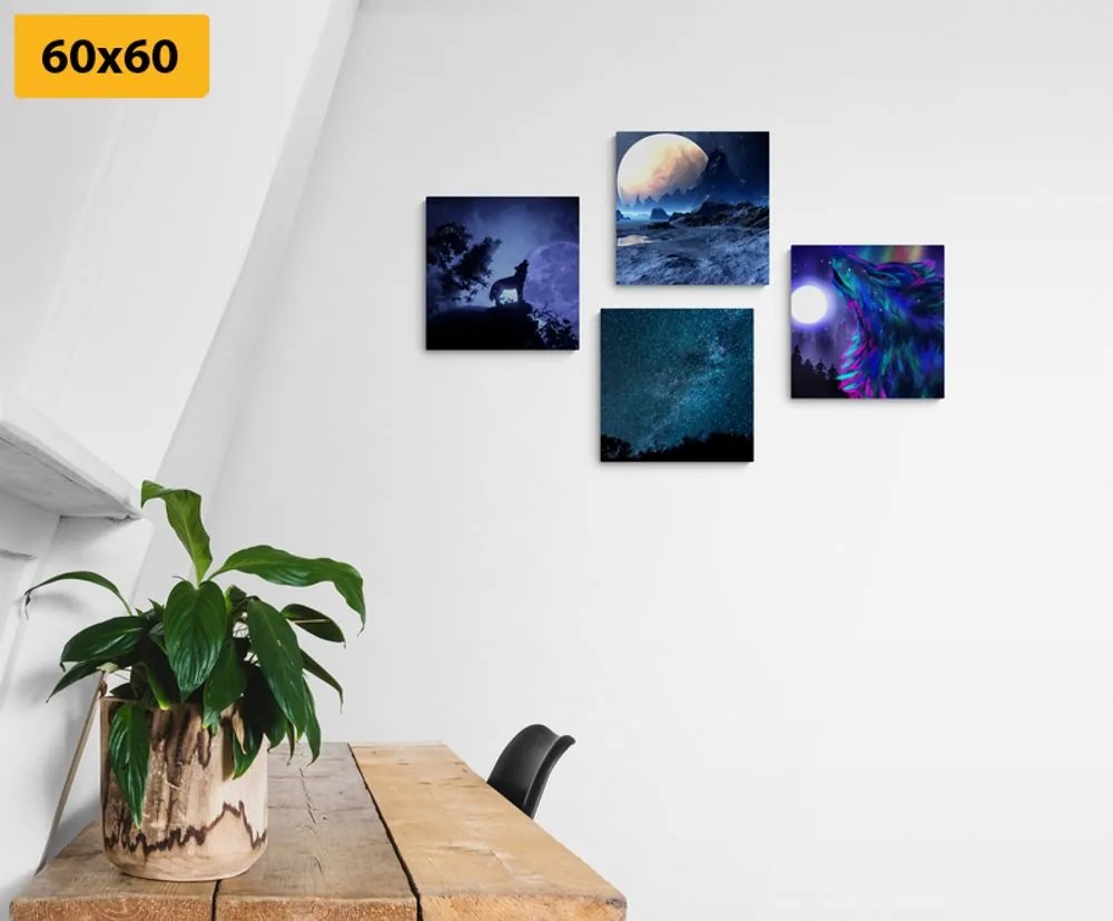 Set di quadri – Lupo misterioso