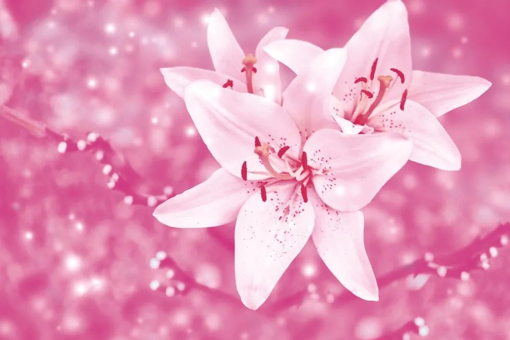 Carta da parati – Gigli in Abito Rosa