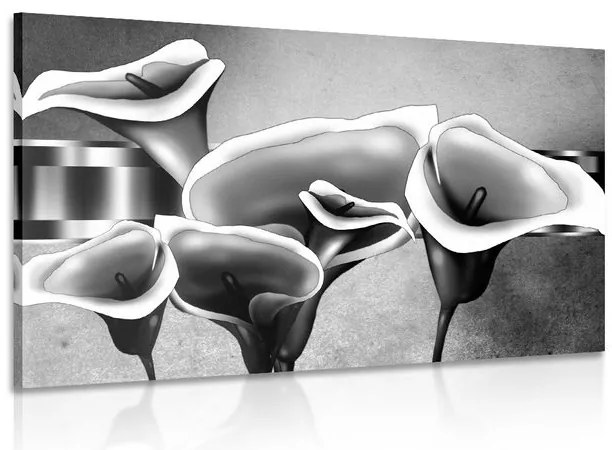 Quadro su tela – Eleganti fiori di calla in bianco e nero