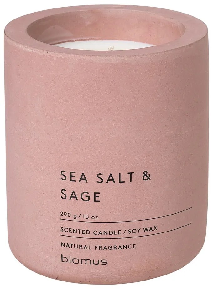 Candela di soia profumata tempo di combustione 55 h Fraga: Sea Salt and Sage - Blomus