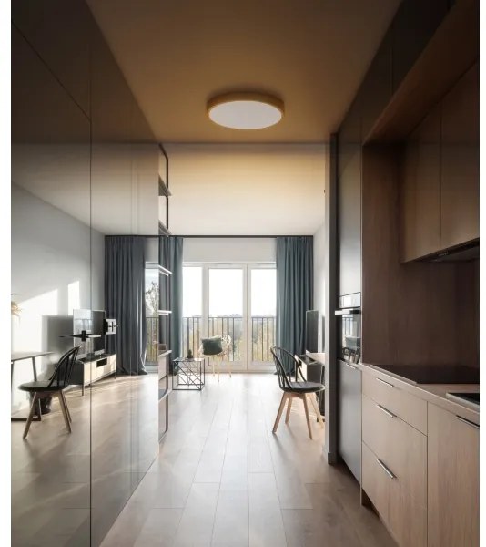 Globo 12381-22 - Plafoniera LED TIBEY LED/22W/230V diametro 35 cm