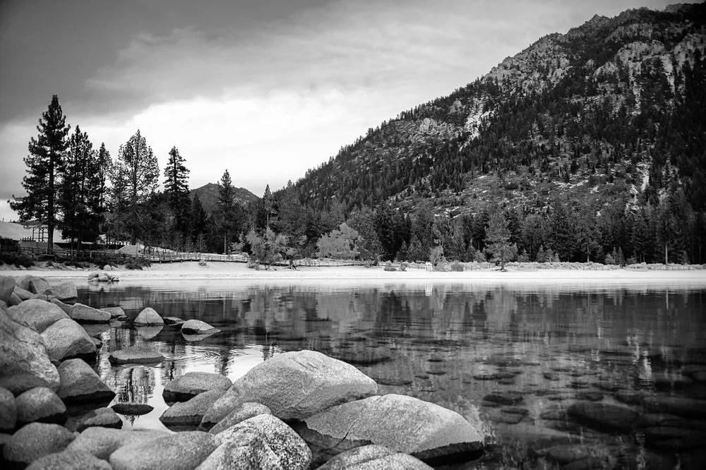 Fotomurale – Lago in bianco e nero circondato dalla natura
