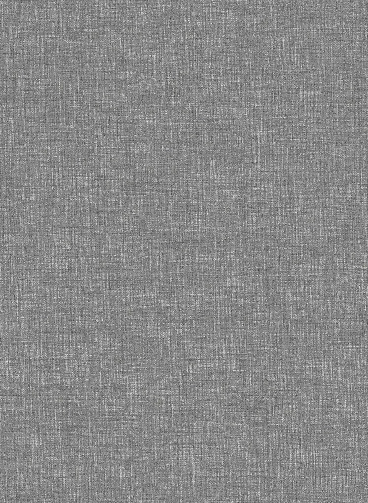 Boråstapeter Carta da parati Canvas - Graphite