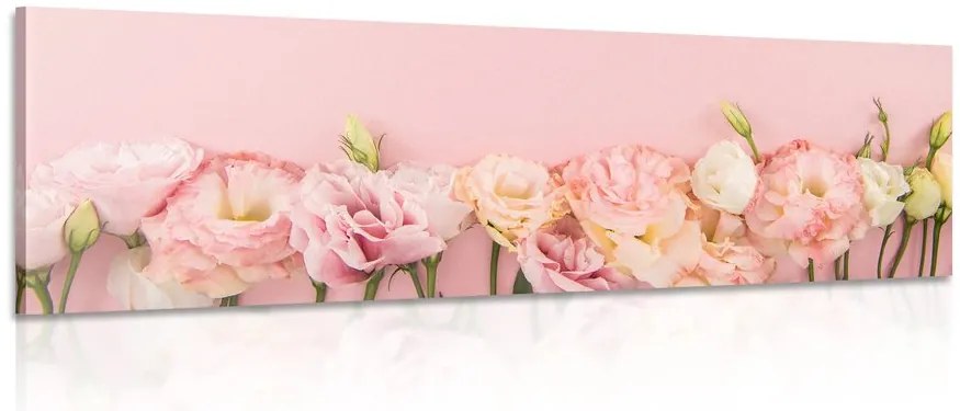 Stampa su tela – Fiori fioriti pastello