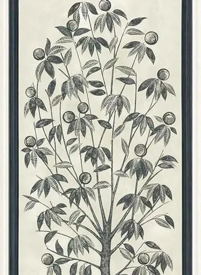 Cole & Son Carta da parati Trees of Eden - Lide