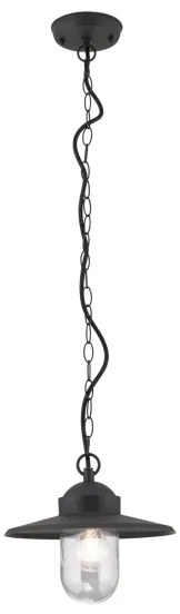 Orion AL 11-1318 - Lampada a sospensione da esterno EDWARD 1xE27/60W/230V IP44 antracite