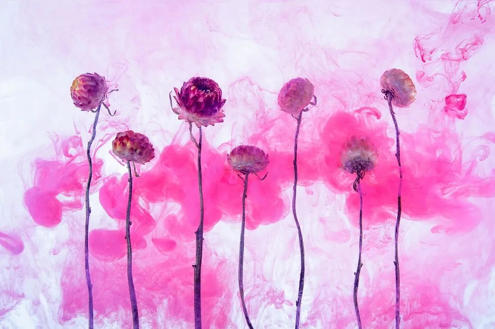 Carta da parati autoadesiva – Fiori con vapore rosa