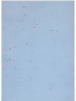 Terrastone original - Probeset - 86 - Himmelblau
