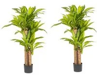 Pianta Artificiale Dracaena 100x130 cm in Plastica con Vaso Verde