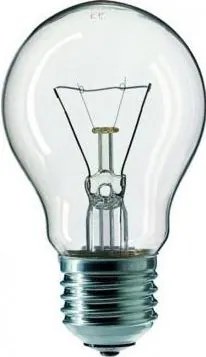 Lampadina industriale trasparente E27/100W/240V