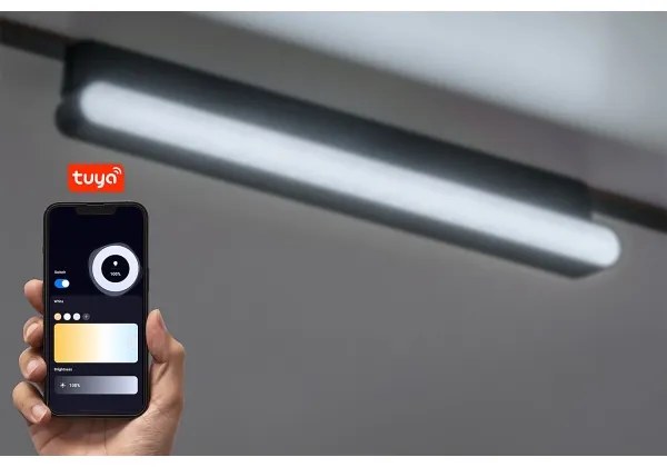 Rabalux 70129-LED Plafoniera dimmerabile per sistema a binario monofase LiTrack 13W/24V 33 cm